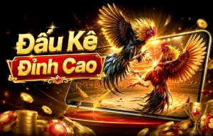 Sảnh Đá Gà vblsocialmedia